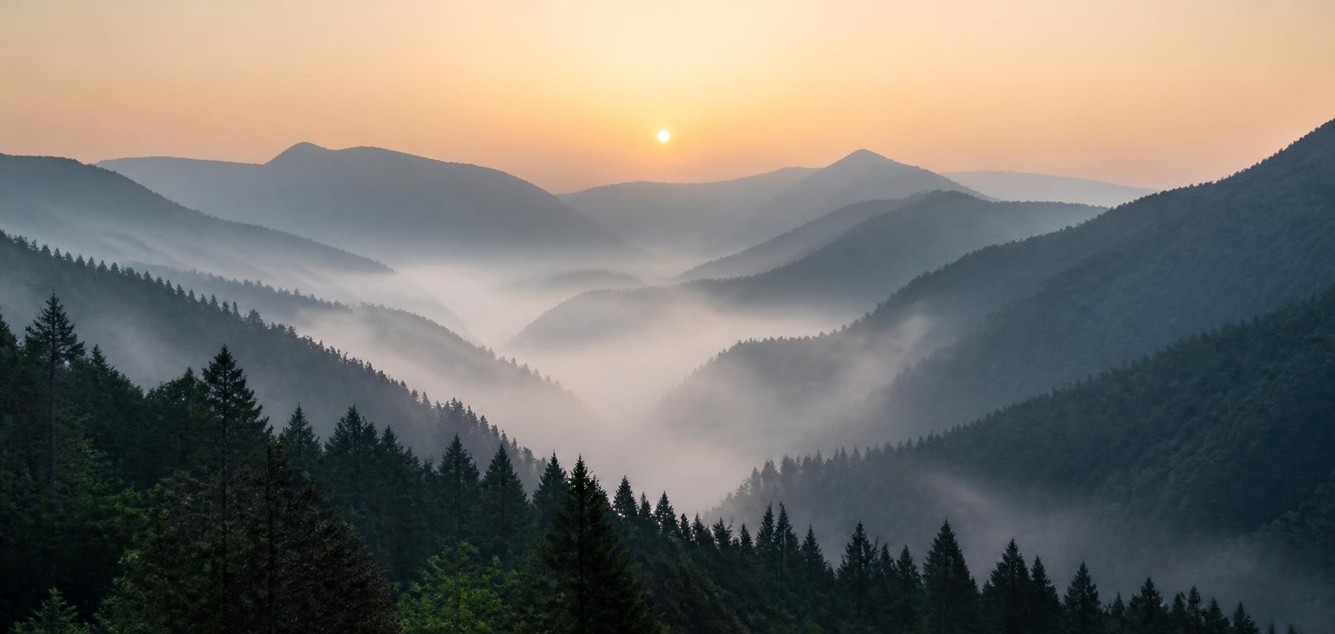 Misty Japanese mountain valley at sunrise